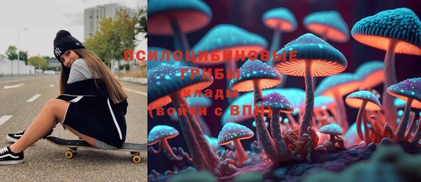 прущая мука Богородицк