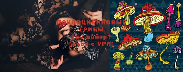 прущая мука Богородицк