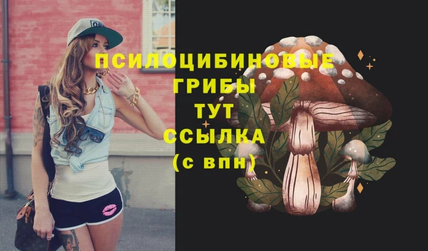 метадон Богородск