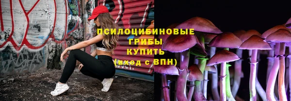 прущая мука Богородицк