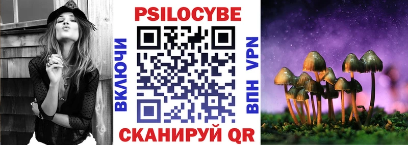 Галлюциногенные грибы Psilocybine cubensis  даркнет сайт  Старица 